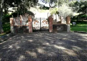 Aves mensajeras del sol 2
