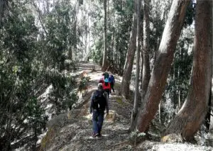 Tota un dia 7