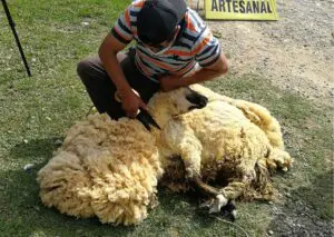 Artesanias_2